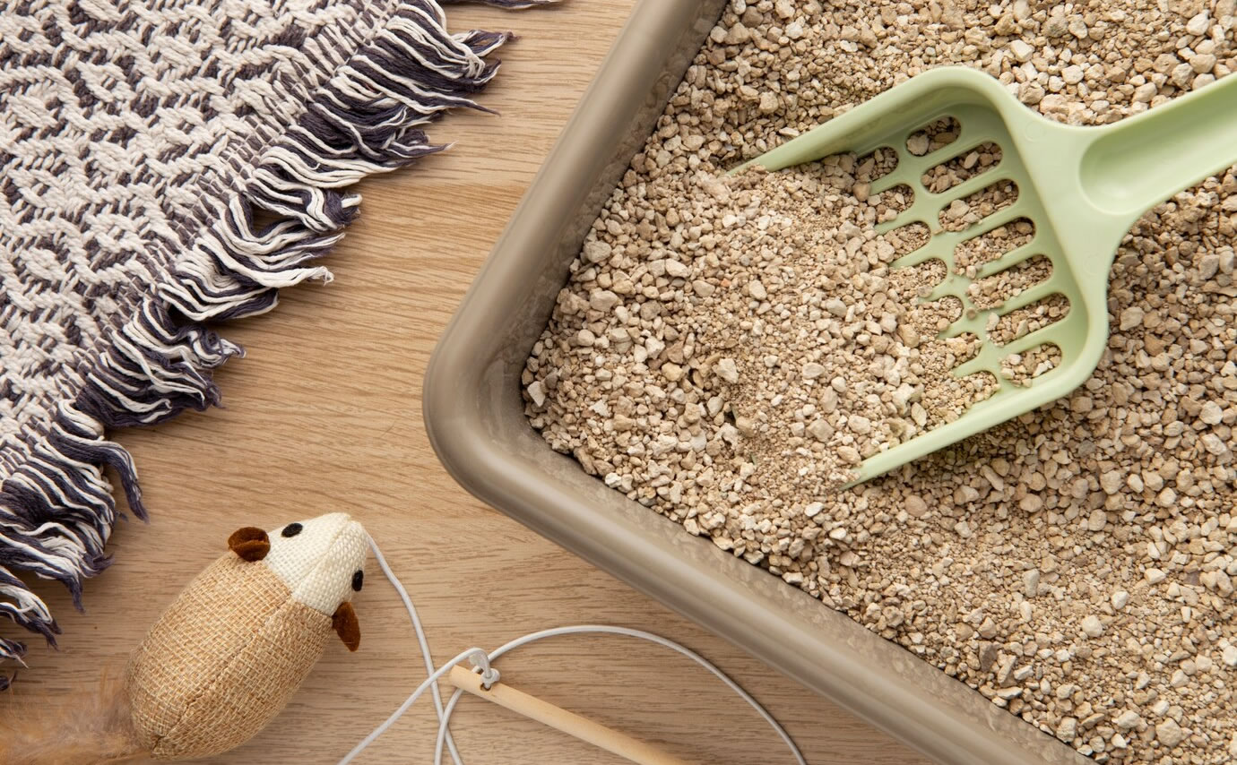 Doğal Kedi Kumu: Çevre Dostu ve Sağlıklı Seçimler